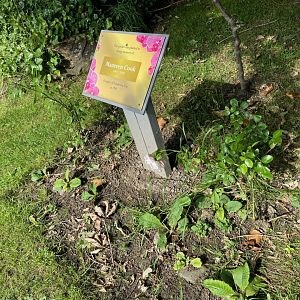 Zoo Founder Maureen Cook's Dedication Plaque at Ponderosa Zoo (July 2021)