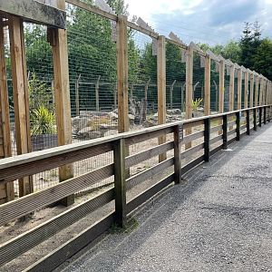 Serval Enclosure at Ponderosa Zoo (July 2021)