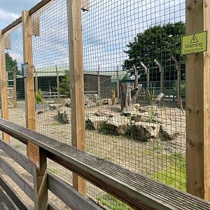 Serval Enclosure at Ponderosa Zoo (July 2021)