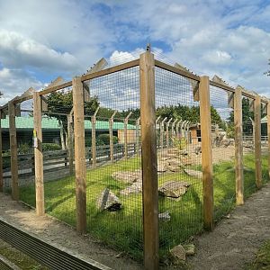 Serval Enclosure at Ponderosa Zoo (July 2021)