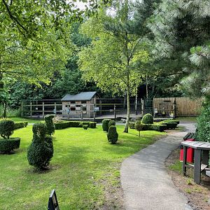 View of Reindeer Enclosure at Ponderosa Zoo (July 2021)