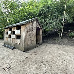 Reindeer Enclosure at Ponderosa Zoo (July 2021)
