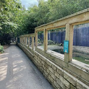 Asian Short-Clawed Otter Enclosure at Ponderosa Zoo (July 2021)