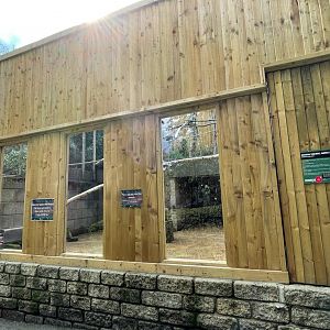 Squirrel Monkey Enclosure at Ponderosa Zoo (July 2021)