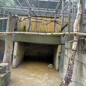 Squirrel Monkey Enclosure at Ponderosa Zoo (July 2021)