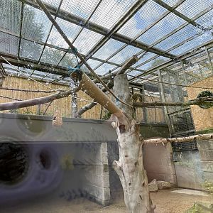 Squirrel Monkey Enclosure at Ponderosa Zoo (July 2021)