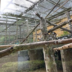 Squirrel Monkey Enclosure at Ponderosa Zoo (July 2021)