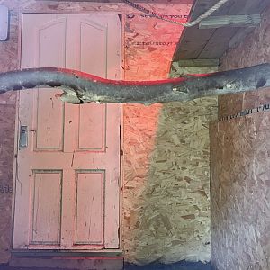 Indoor Squirrel Monkey Enclosure at Ponderosa Zoo (July 2021)