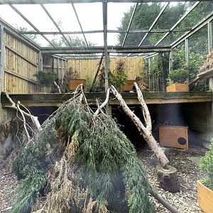 Scottish Wildcat Enclosure at Ponderosa Zoo (July 2021)