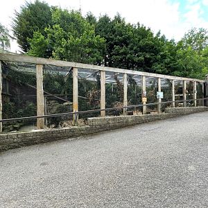 Scottish Wildcat Enclosure at Ponderosa Zoo (July 2021)