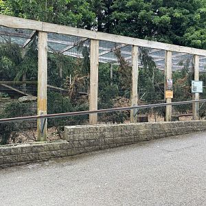 Scottish Wildcat Enclosure at Ponderosa Zoo (July 2021)