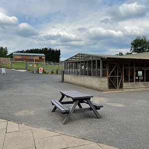 General view of Ponderosa Zoo (July 2021)