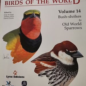 Handbook of the Birds of the World – Volume 14 Bush-shrikes to Old World Sparrows