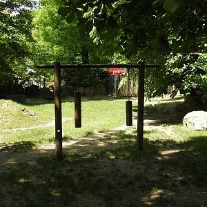Malayan tapir exhibit