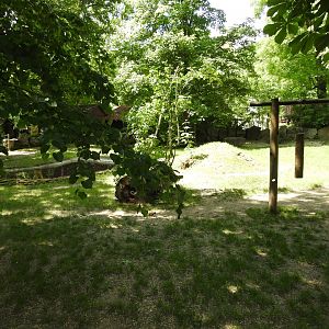 Malayan tapir exhibit