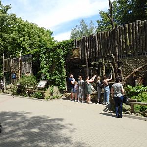 Persian leopard exhibit
