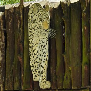 Persian leopard exhibit