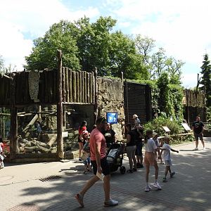 Persian leopard exhibit