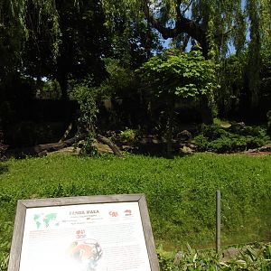 Red panda exhibit