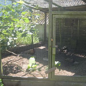 Enghave Dyre- og Naturpark - Pheasant aviary