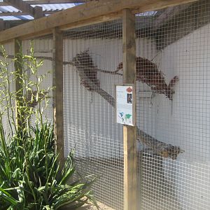 Enghave Dyre- og Naturpark - Owl aviary #1