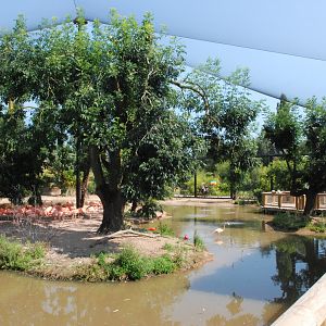 Latin American Wetland Aviary at Chester, 20th July 2021