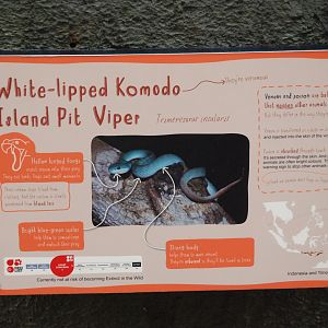 Signage Example (Pit Viper) at Chester, 20th July 2021