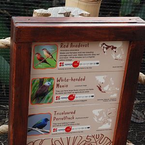 Signage Example (RotRA Aviary) at Chester, 20th July 2021
