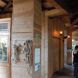 Monsoon Forest Interior at Chester, 20th July 2021