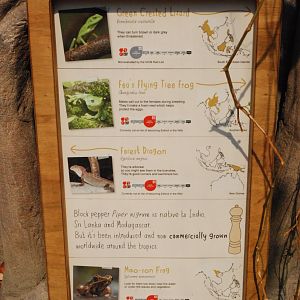 Signage Example (Monsoon Forest Vivaria) at Chester, 20th July 2021