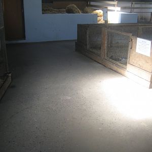 Enghave Dyre- og Naturpark - Petting stable