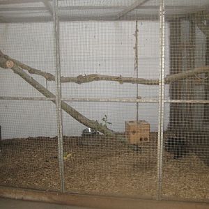 Enghave Dyre- og Naturpark - Petting stable - Raccoon exhibit