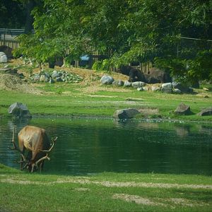 The Americas - General View