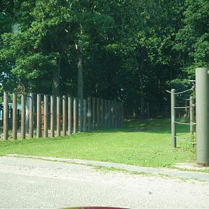 Afrikka - Transfer Pathway to Elephant House