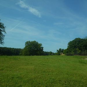 Wilde Plains - General View in the First Exhibit