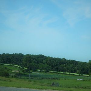 Wilde Plains - View to Lowlands