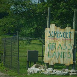 Serengeti Grasslands - Entrance