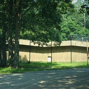 Kingsland - Lion Holding