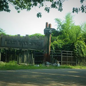 Black Bear Ridge - Entrance