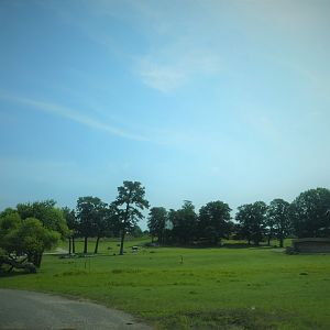 Wilde Plains Lowlands