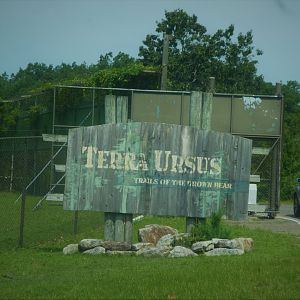 Terra Ursus - Entrance