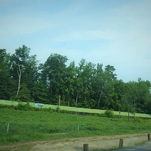 Terra Ursus - 12-Acre European Brown Bear Exhibit
