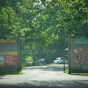 Didgeridoo Pass - Entrance