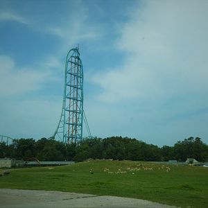 Tigris Asiana - General View (Kingda Ka in the Background)