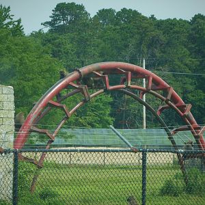 Baboon Village - Old Rollercoaster Track Climbing Frame
