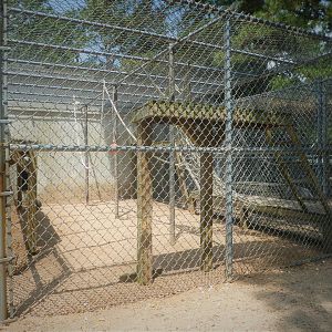Monkey House - Japanese Macaque Exhibit