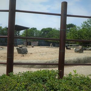 Former Asian Elephant Exhibit