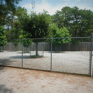 Part of White-tailed Deer Exhibit