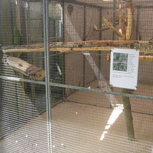 Enghave Dyre- og Naturpark - Amazon aviary