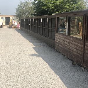 C&J’s animal park - Fowls (left aviaries) and Nile crocodiles (house on the right)